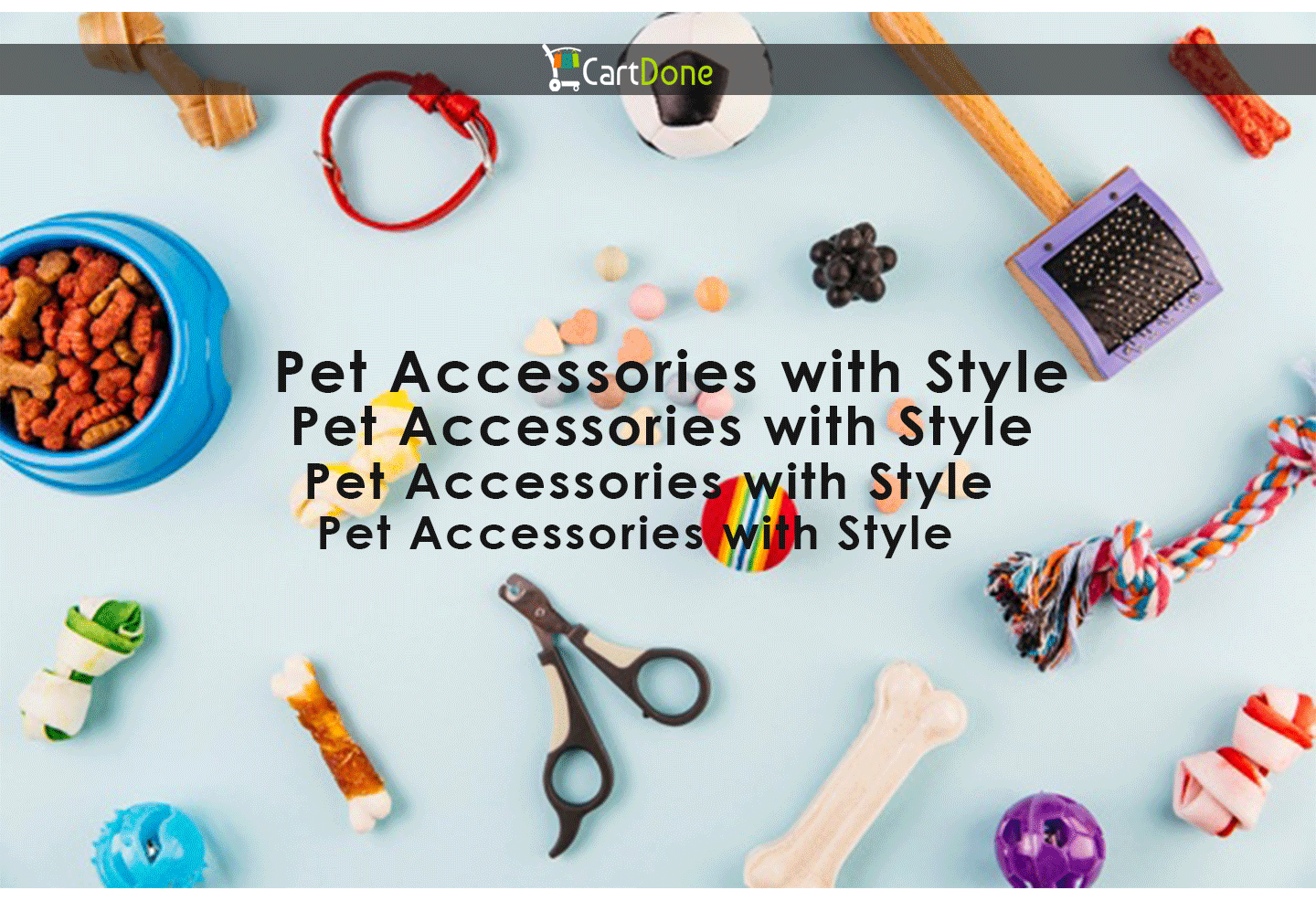 Pet Accessories with Style