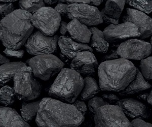 Premium Traditional House Coal Trebles (12)